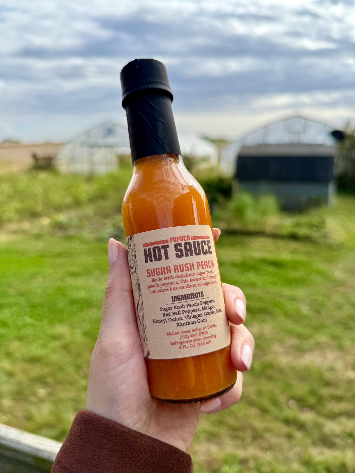 Hot Sauce
